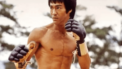 Bruce Lee Net Worth