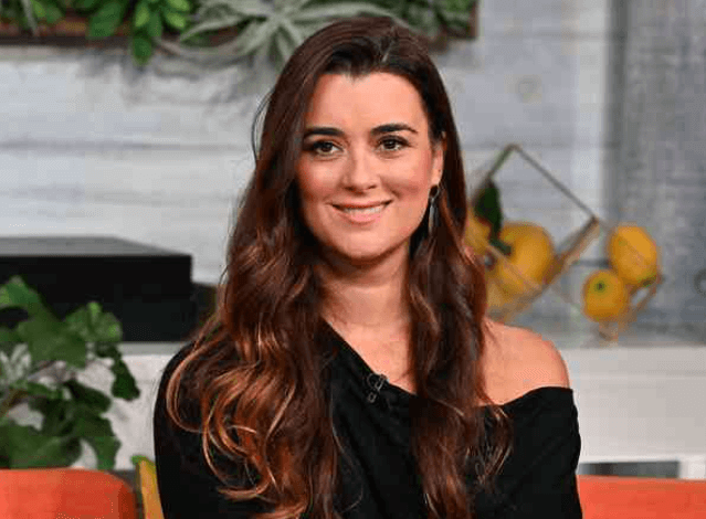 Cote De Pablo Net Worth