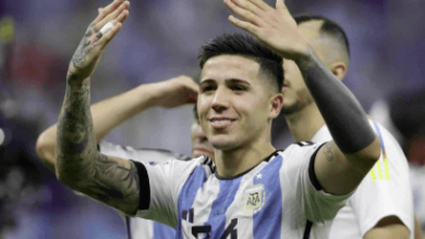 Enzo Fernandez Net Worth