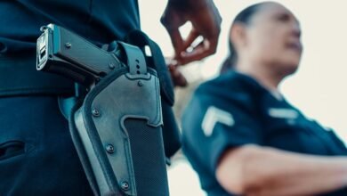 fraud hotline contact numbers