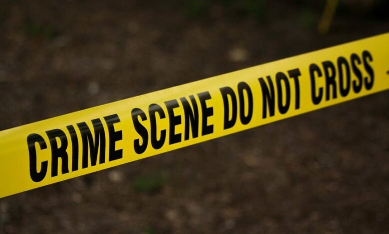 fraud hotline investigation council
