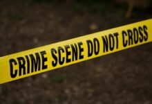 fraud investigation hotline numbers