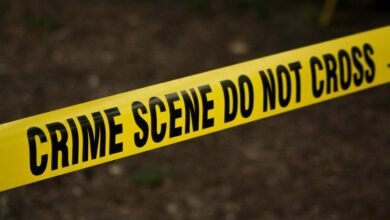 fraud investigation hotline numbers