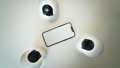 fraud monitoring hotline numbers