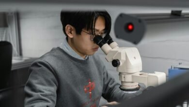 latest services at erone