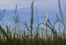 digital solution for growth