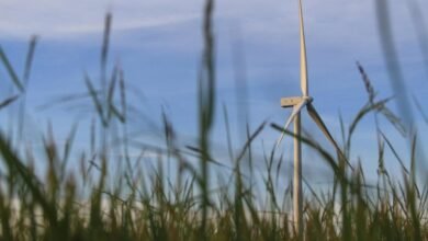 digital solution for growth