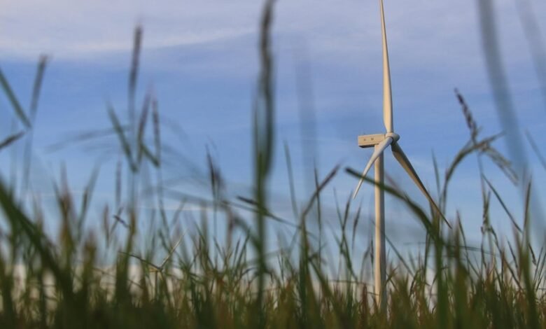 digital solution for growth