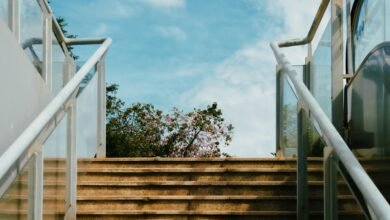 online platform for stability