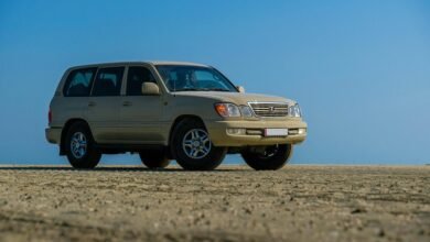 reliable digital stability platform