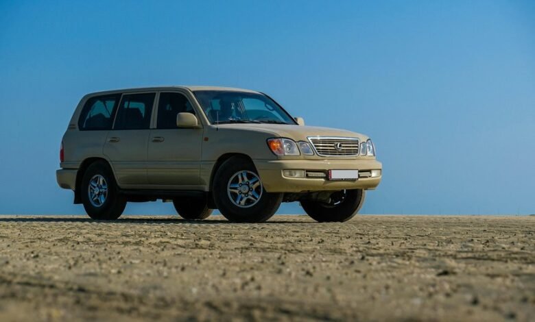 reliable digital stability platform